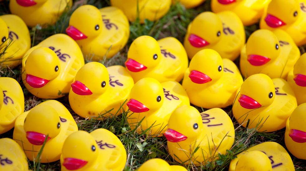 Free events in June duck race